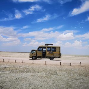 Dyna 3 Etosha view point